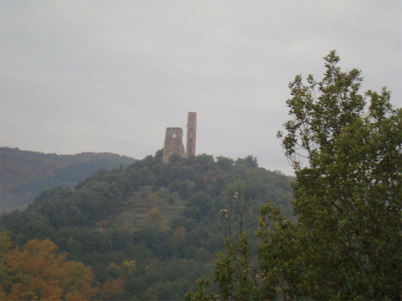 gal/2009/11 - Le escursioni della Ciclistica Valdarbia/DSC01406-01.jpg